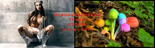 а пвп мука Кукмор