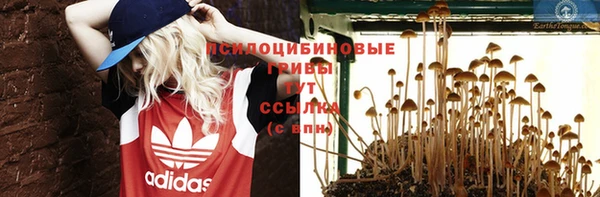 MESCALINE Баксан