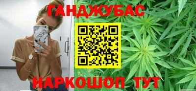 дмт Гай