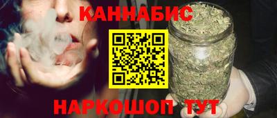 дмт Гай
