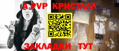 дмт Гай
