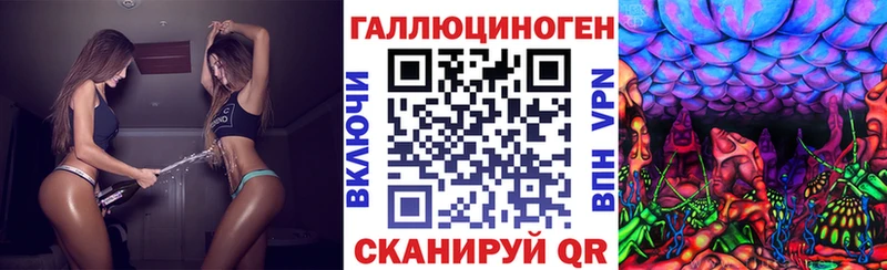 Псилоцибиновые грибы мицелий  Гусев 