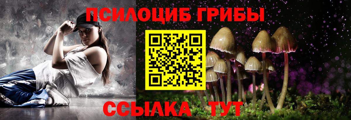 Гусев  Галлюциногенные грибы GOLDEN TEACHER  Вход с VPN 